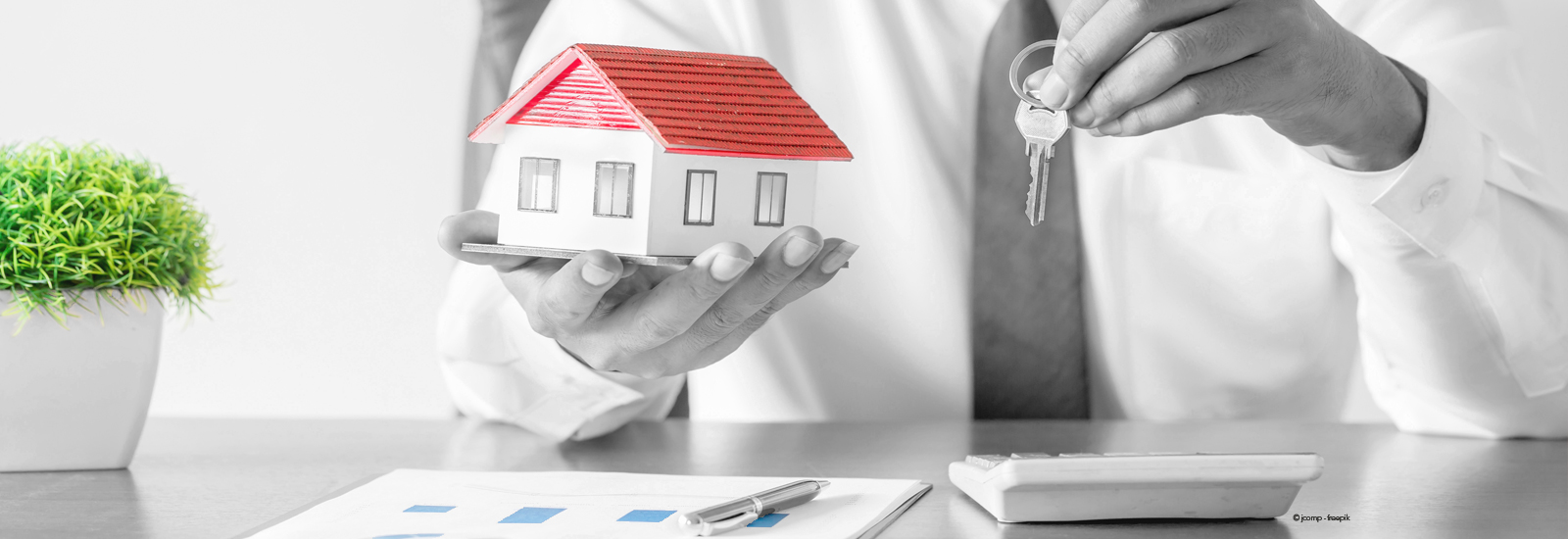 Litiges propriétaires/locataires